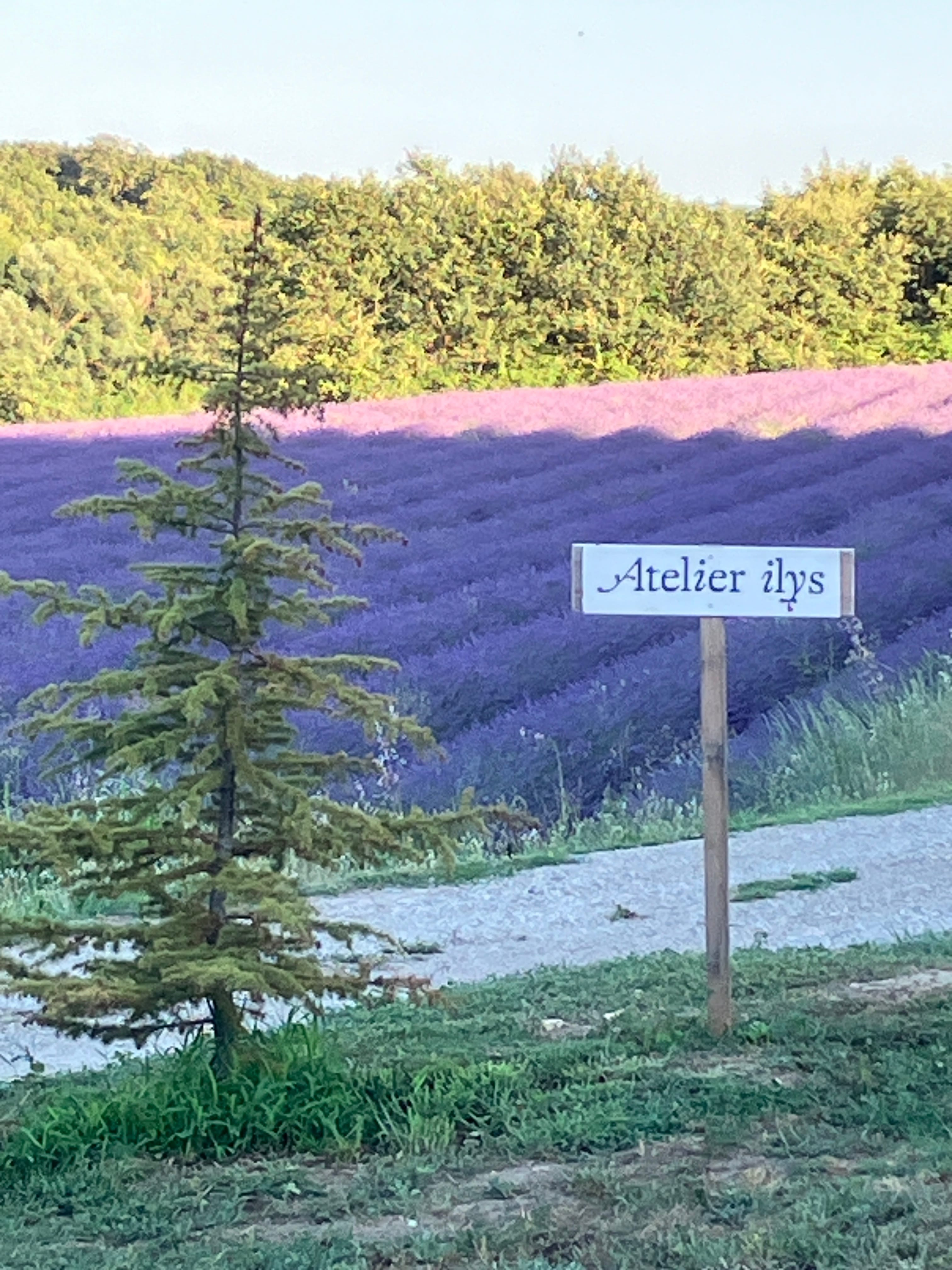 arriveealateierilysJPG