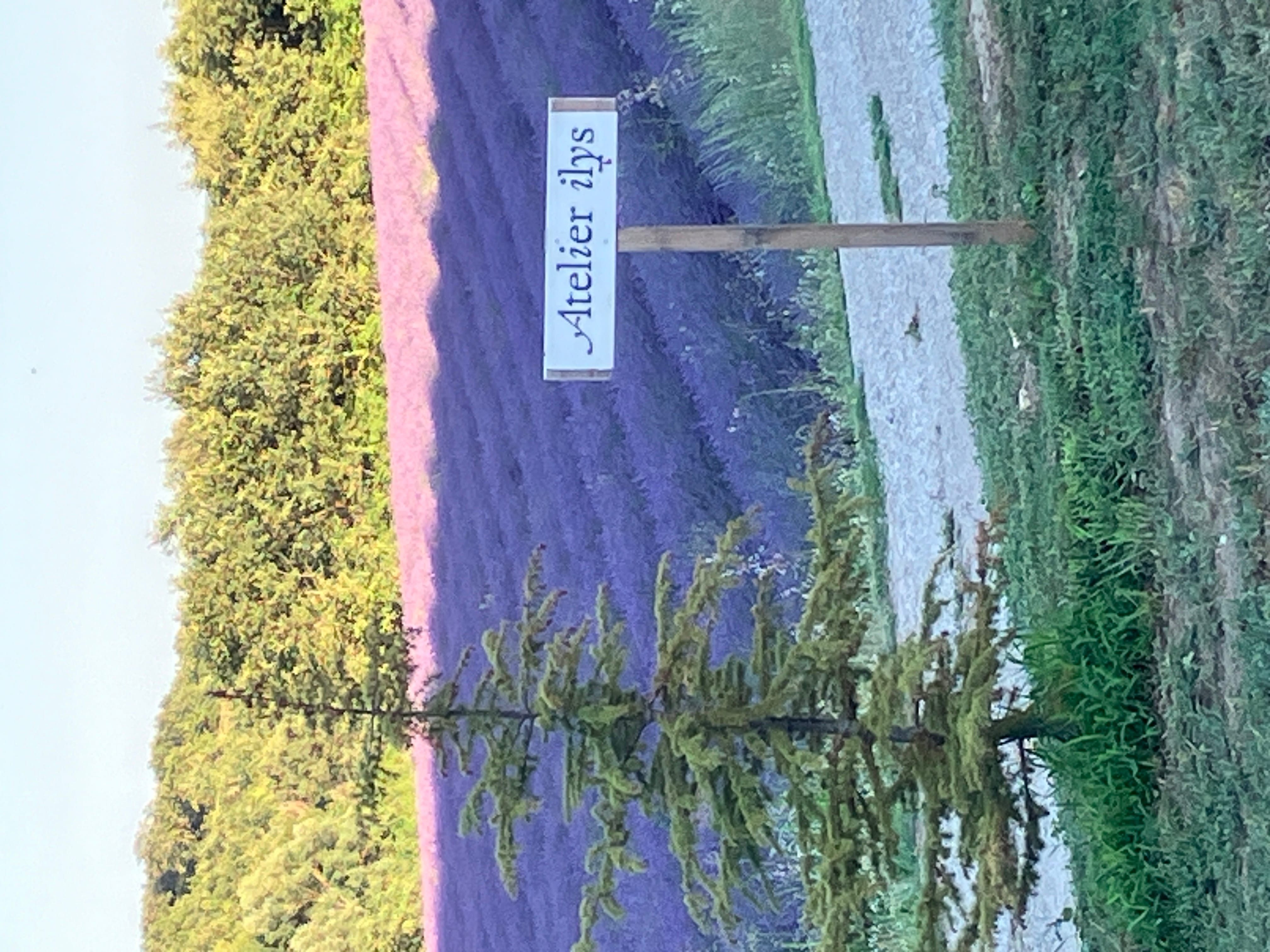 chemin d'accès à l'atelier ilys