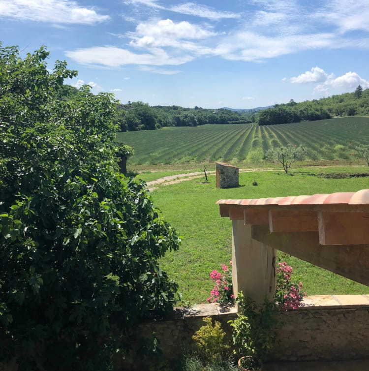 Chambre Rose — chambre romantique aux teintes roses, Atelier Ilys Pierrerue — photo 5