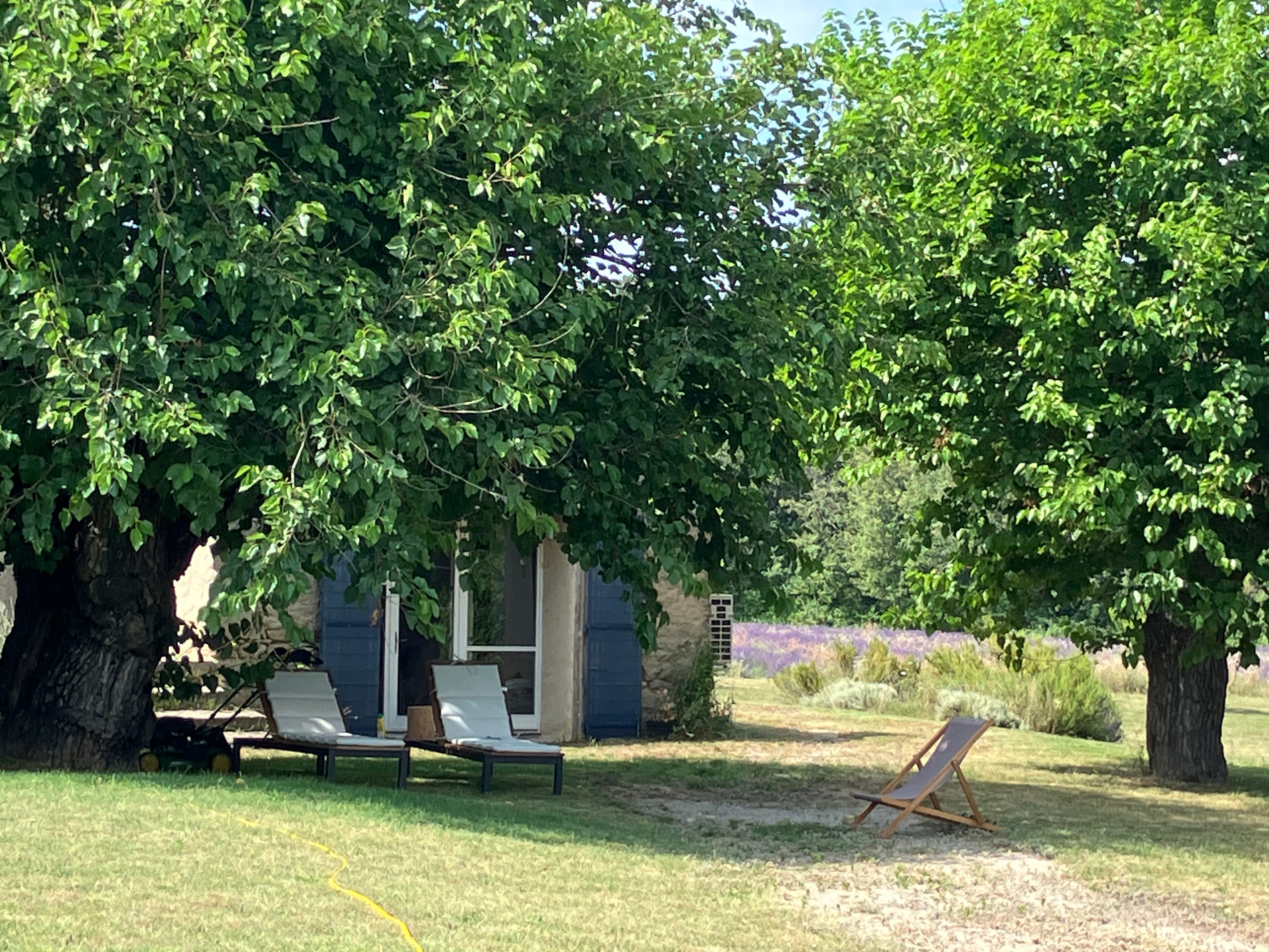 coin repos dans le jardin