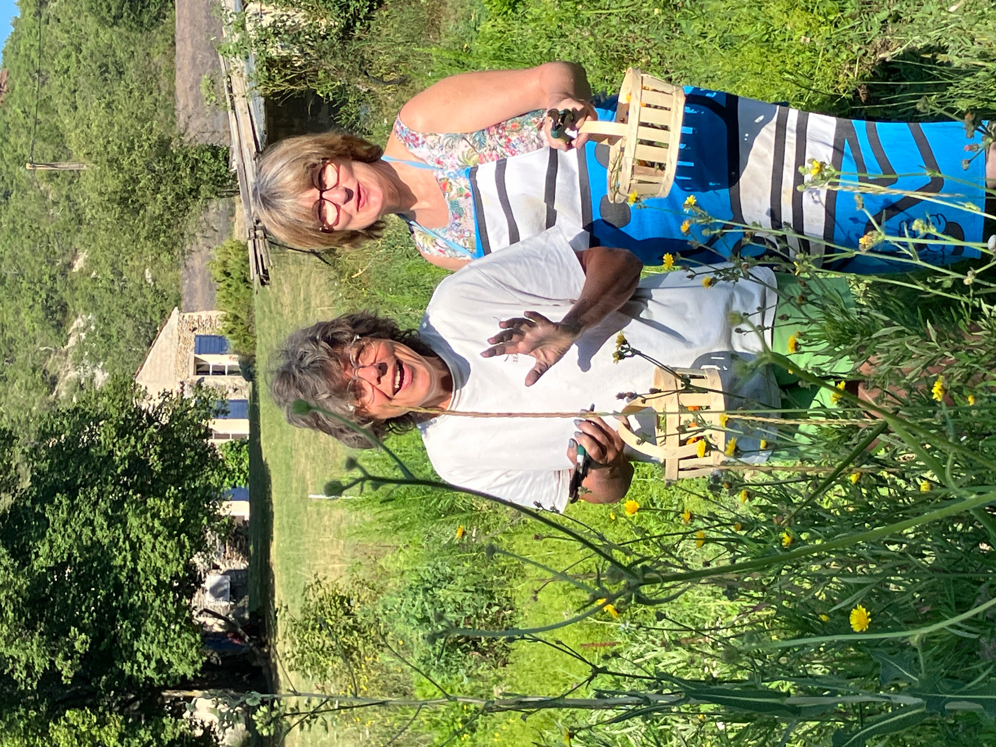 cueilette au jardin tinctorial pour ecoprint