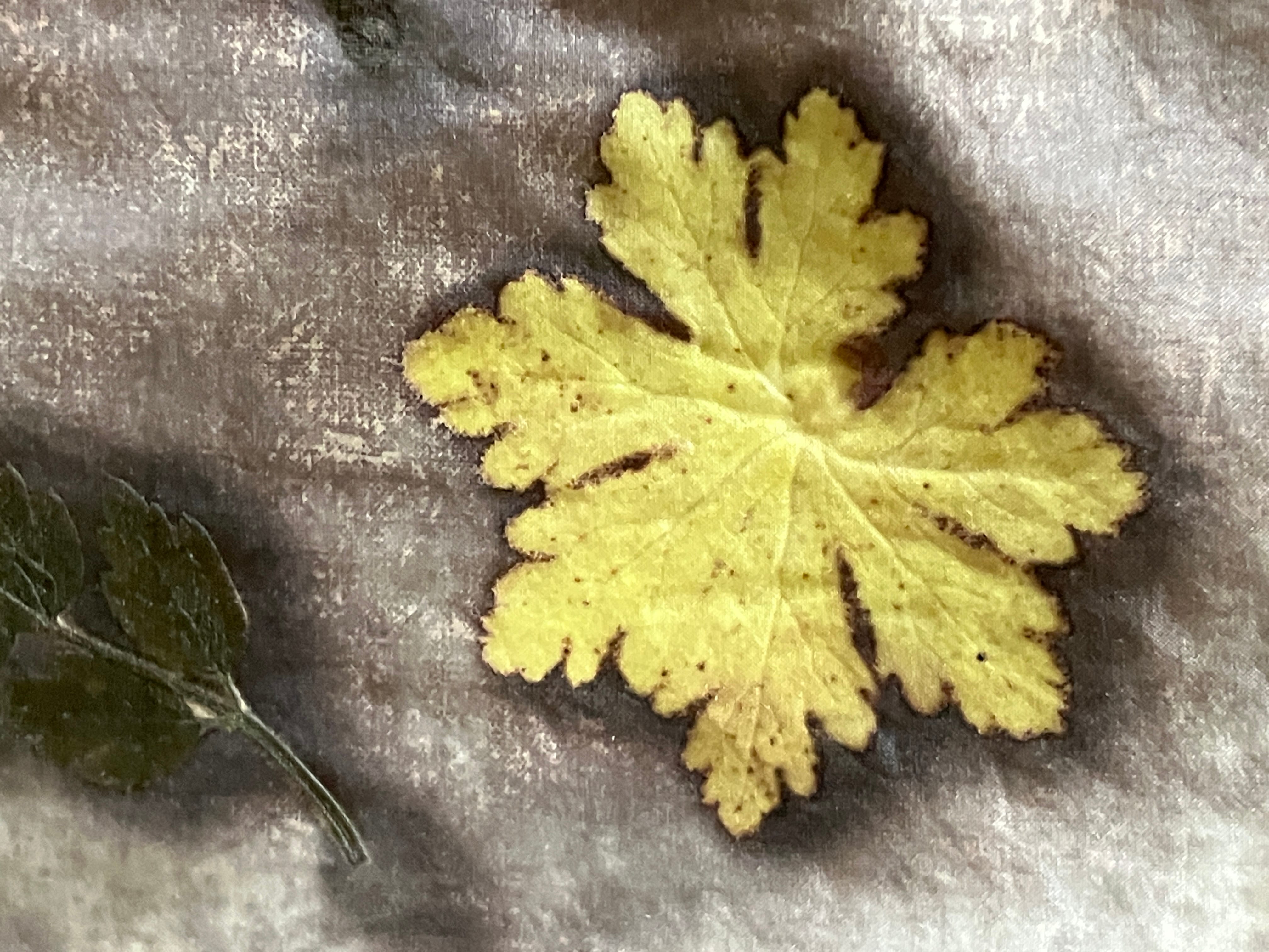 résultat d'ecoprint