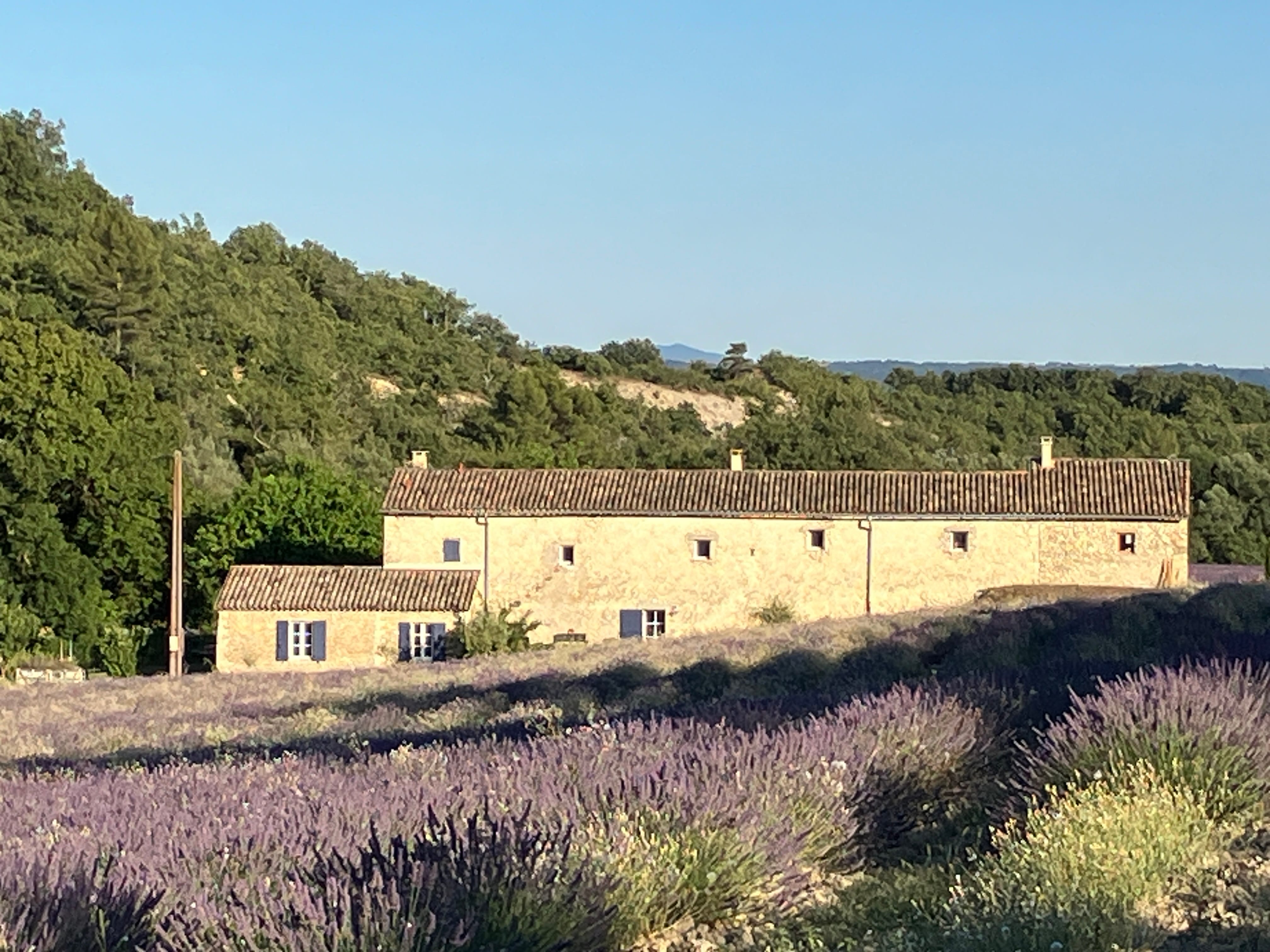 coté nord de la magnanerie en juillet