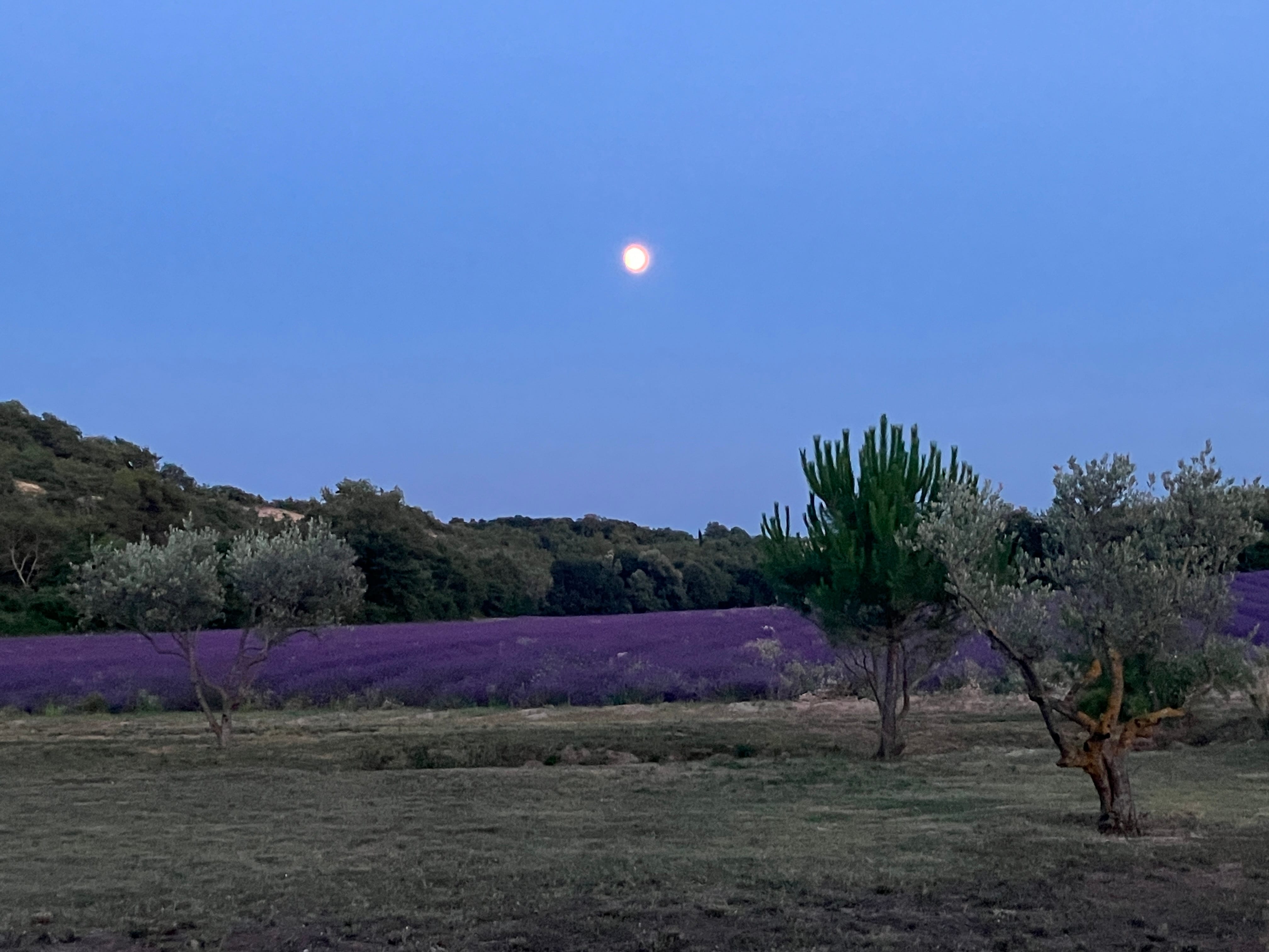 lever de lune en été