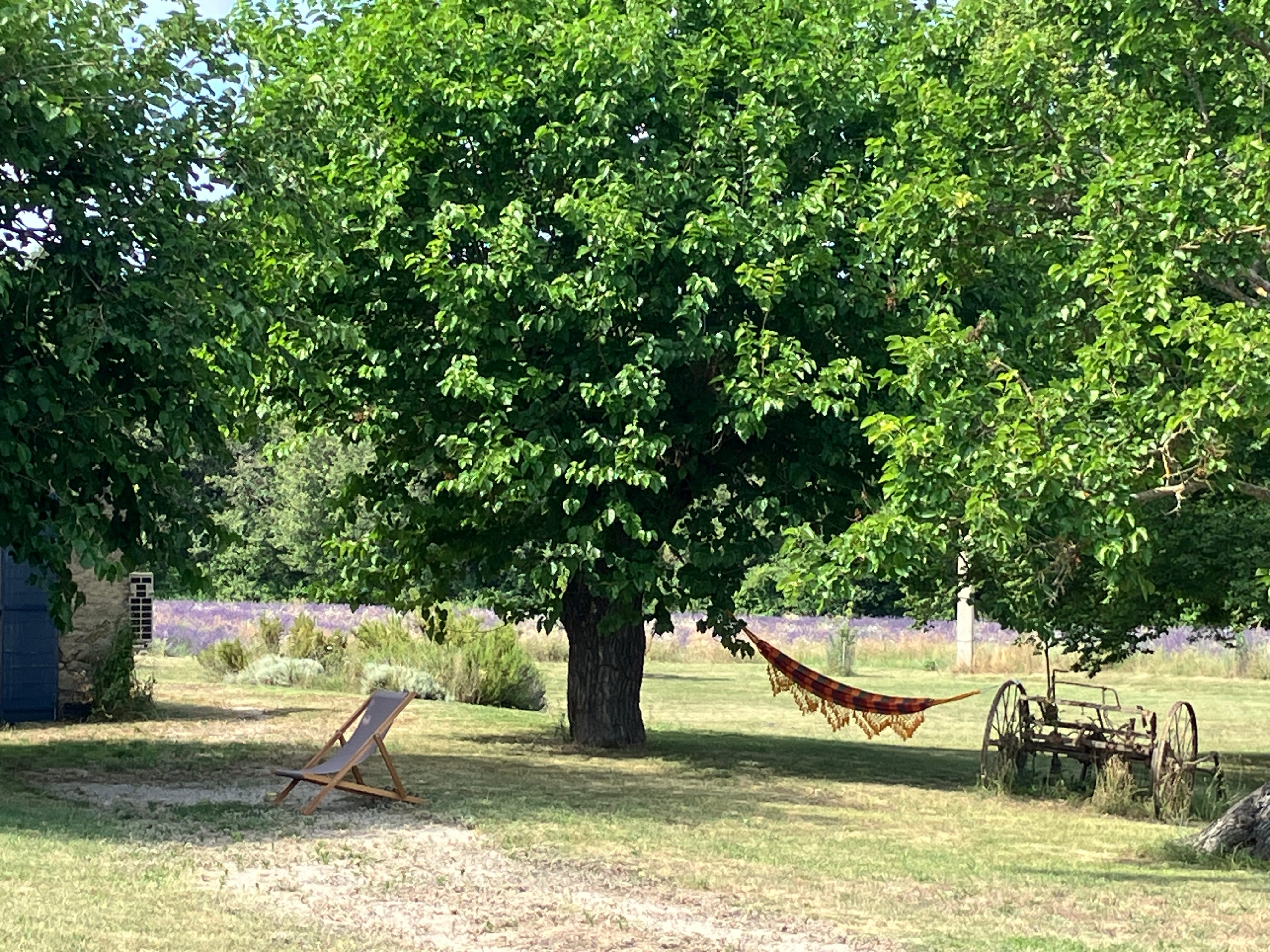 coin repos sous le tilleul