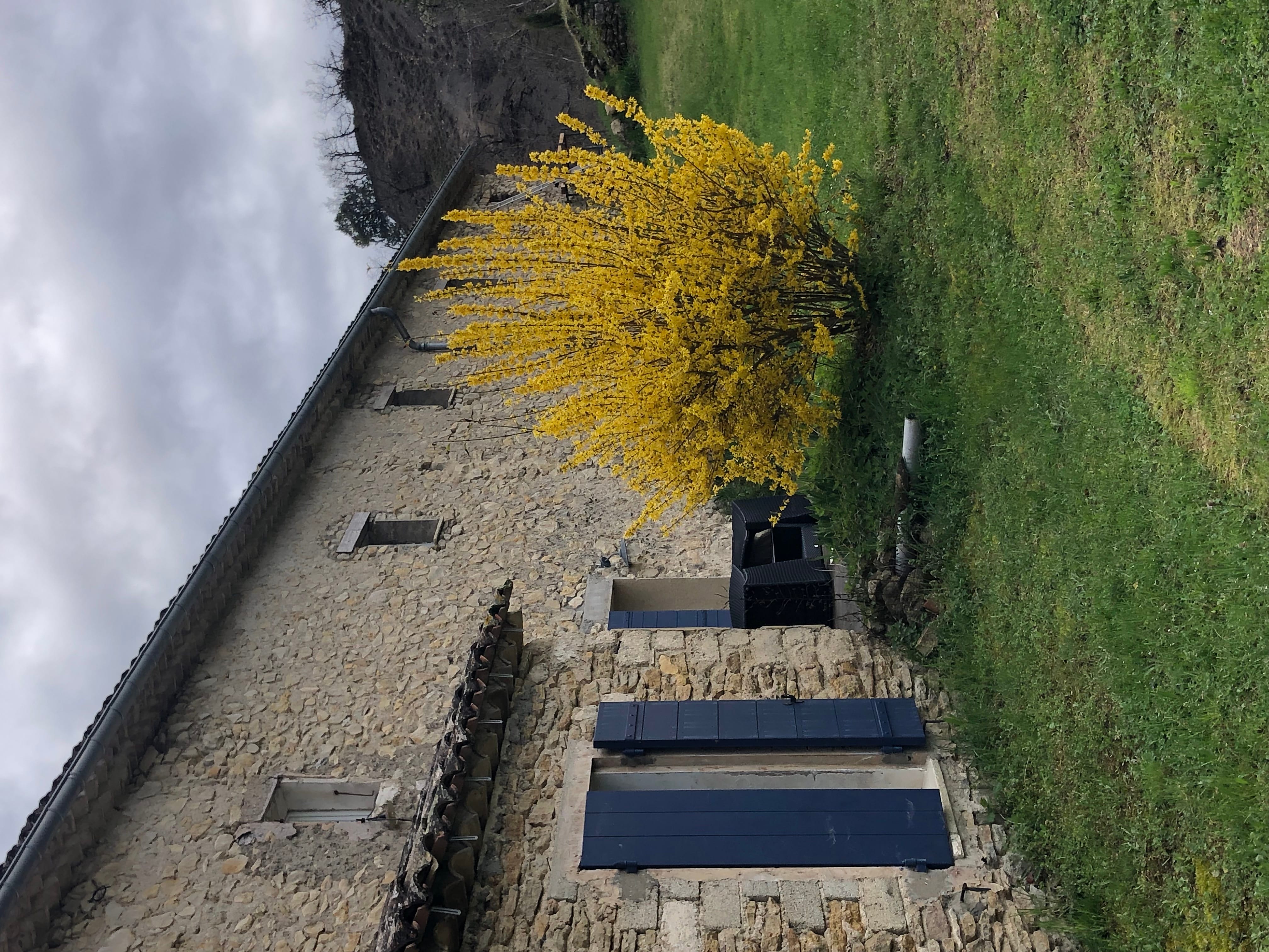 la terrasse nord en mars