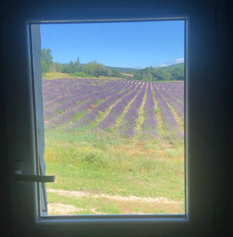 Chambre Azur — chambre double aux tons bleus dans la magnanerie Atelier Ilys — photo 5
