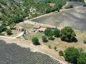 La Maisonnette — gîte en pierre de 25 m² dans le domaine de l'Atelier Ilys, Pierrerue — photo 11