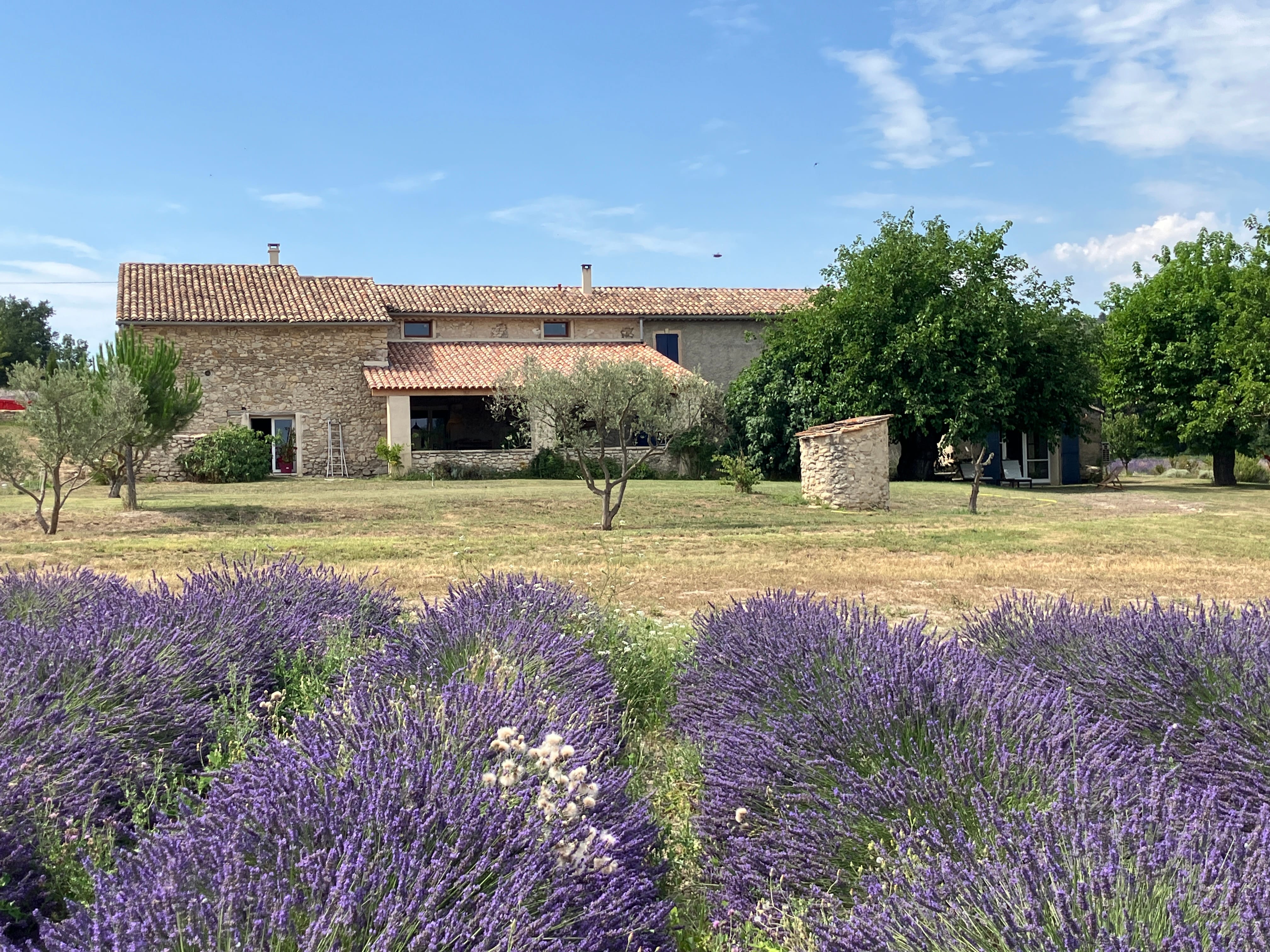 Vue sud de la magnanerie, Haute-Provence